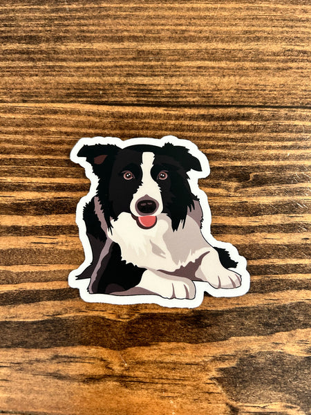 Border Collie Sticker